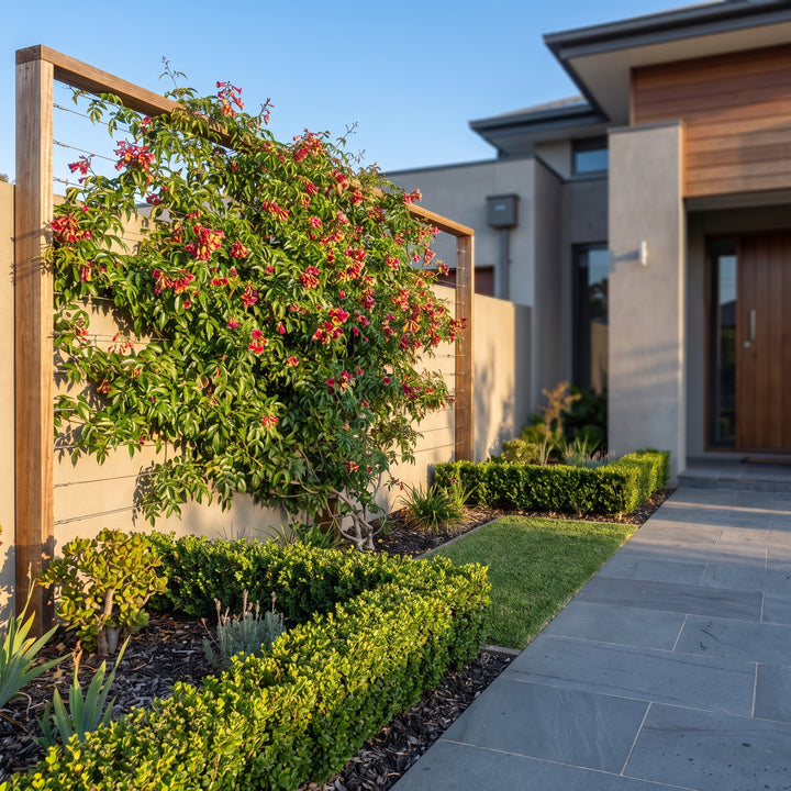 Bower Vine